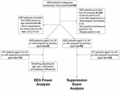 Age-Dependent Changes in the Propofol-Induced Electroencephalogram in Children With Autism Spectrum Disorder
